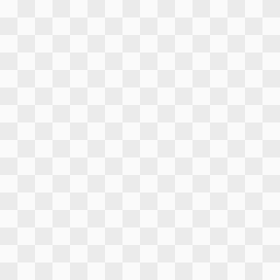 Production Canary Runtime